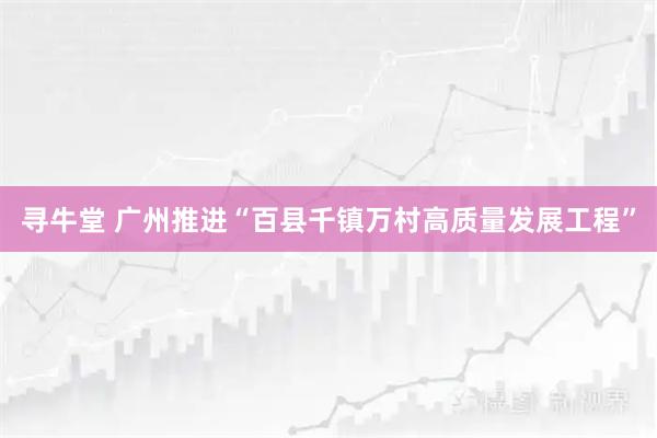 寻牛堂 广州推进“百县千镇万村高质量发展工程”